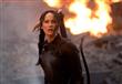 افلام حققت أعلى ايرادات في السينما الأمريكية 2014                                                                                                     