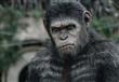 افلام حققت أعلى ايرادات في السينما الأمريكية 2014                                                                                                     