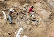 العثور على هيكل عظمي كامل لقناص الأرض