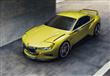 BMW-3-0-CSL-Hommage-20