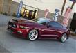 شيلبي  Super Snake