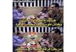 الأهلاوية يسخرون من خماسية النجم (3)                                                                                                                                                                    