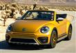 2016_beetle_dune (7)