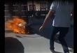 واقعة إشعال سائق تاكسي النيران في نفسه (6)                                                                                                                                                              