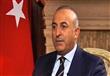 وزير الخارجية التركي مولود تشاويش أوغلو