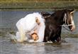 عروس تسقط من على الحصان يوم زفافها                                                                                                                                                                      