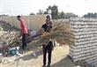 الإقليمي لحقوق الإنسان ينظف المقابر بالوادى (4)                                                                                                                                                         