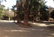 حديقة الحيوان (3)                                                                                                                                                                                       
