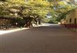 حديقة الحيوان (7)                                                                                                                                                                                       