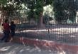 حديقة الحيوان (8)                                                                                                                                                                                       