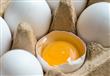 لا يخلو أي مطبخ عربي من البيض، ففوائده الصحية كثير