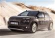 ستروين C4 Cactus  (7)