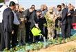 السيسي في عامين: أضخم مشروع زراعي في تاريخ مصر