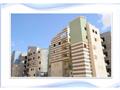 وحدات سكن مصر (6)                                                                                                                                                                                       