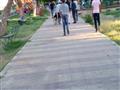 حال كورنيش النيل في محافظة المنيا (13)                                                                                                                                                                  