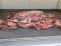 لحوم غير صالحة للاستخدام (4)                                                                                                                                                                            