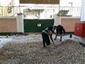 مستشفى الأورام الجامعي (1)                                                                                                                                                                              