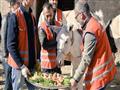 بالفيديو- بلدية تركية تحتفل بتقاعد 3 حمير على أنغا