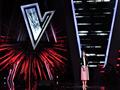 The Voice Kids (14)                                                                                                                                                                                     