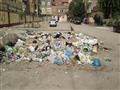 القمامة تحيط بالمدارس بالاسماعيلية (3)                                                                                                                                                                  