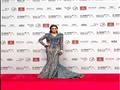 مهرجان دبي السينمائي الدولي (5)                                                                                                                                                                         
