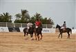 لأول مرة في مصر بطولة للبولو على أرض الغردقة (9)                                                                                                                                                        