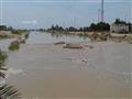 المياه اغرقت الأراضى الزراعية                                                                                                                                                                           