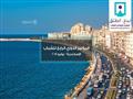 استعدادات الاسكندرية لمؤتمر الشباب (4)                                                                                                                                                                  