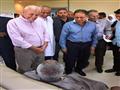 وزير الصحة يدعم مستشفى أبو سمبل بأطباء وأجهزة غسيل كلوي (2)                                                                                                                                             