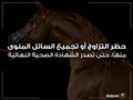 تعرف على شروط تصدير الخيول الأصيلة (8)                                                                                                                                                                  