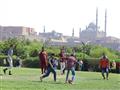 حدائق القاهرة (9)