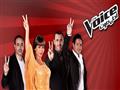 the voice