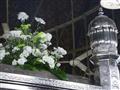 في ذكرى مولده .. كيف وصلت رأس الإمام الحسين من كربلاء إلى مصر؟ (10)                                                                                                                                     