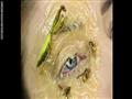 أحدث تقاليع التجميل.. حشرات حقيقة لرسم الوجه (2)                                                                                                                                                        