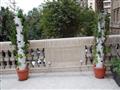 زراعة أسطح المباني (7)                                                                                                                                                                                  