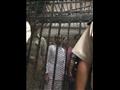 المتهم محمود نظمي داخل القفص (1)