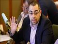 الدكتور محمد فؤاد عضو مجلس النواب