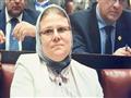 عضو مجلس النواب شيرين فراج                        