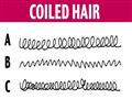 الشعر الملفوف                                                                                                                                                                                           