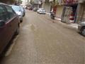 شوارع الفيوم (2)                                                                                                                                                                                        