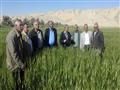 القوافل الإرشادية للتوعية بالأصناف الحديثة للمحاصيل (5)                                                                                                                                                 