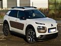 C4 Cactus 