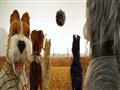 فيلم Isle of Dogs (1)                                                                                                                                                                                   
