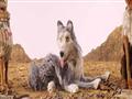فيلم Isle of Dogs (11)                                                                                                                                                                                  