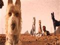 فيلم Isle of Dogs (14)                                                                                                                                                                                  