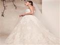 فساتين زفاف (4)                                                                                                                                                                                         