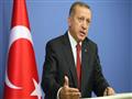 الرئيس التركي رجب طيب أردوغان