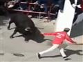 ثور يقتل مصارعا إسبانيا (3)                                                                                                                                                                             