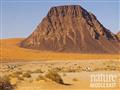 صحراء النفود (5)                                                                                                                                                                                        