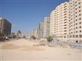 مشروع محور المحمودية في الإسكندرية (1)                                                                                                                                                                  